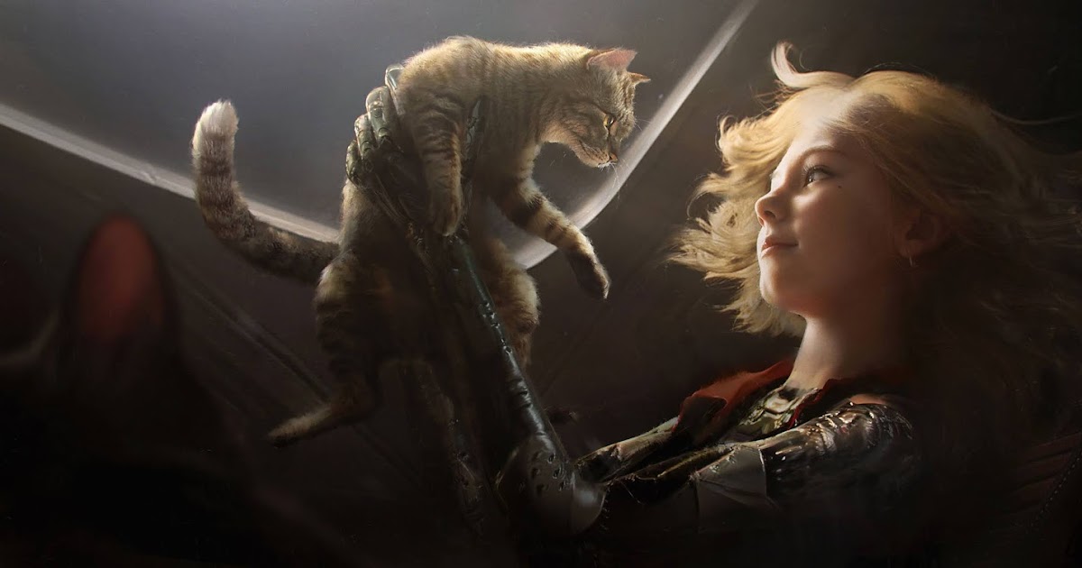 Cats and Infertility Is It Real?