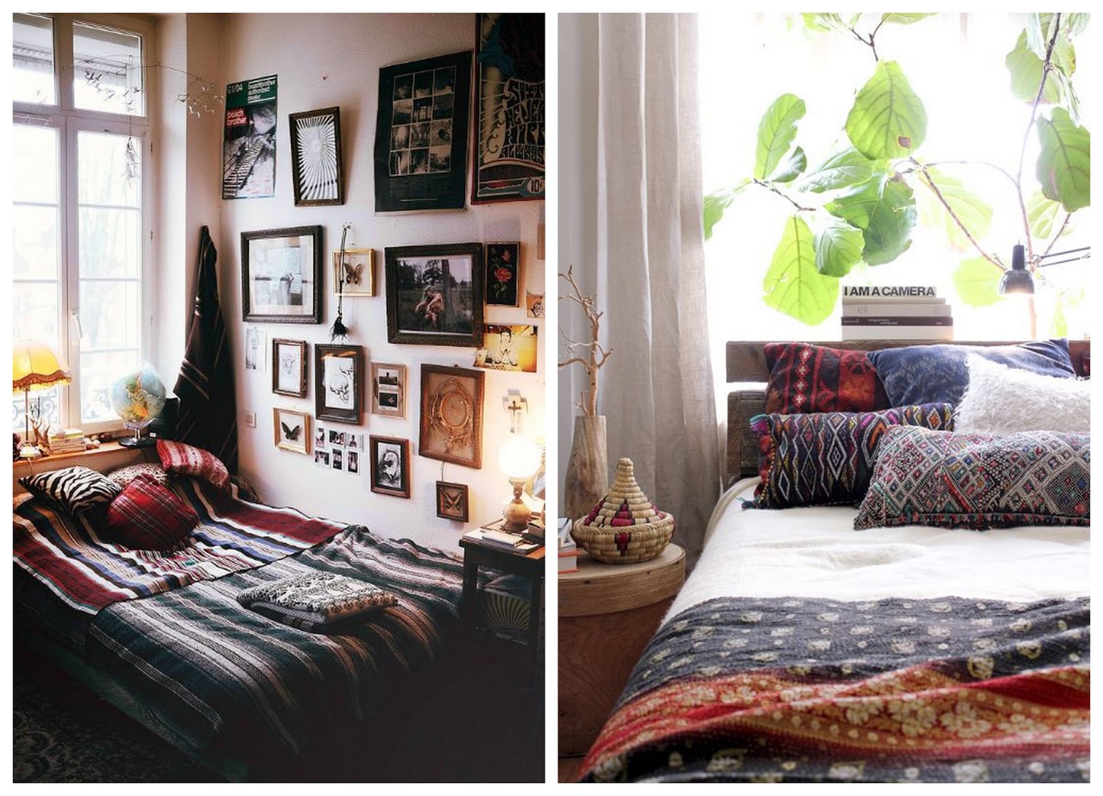 Hippie rose: a place called home