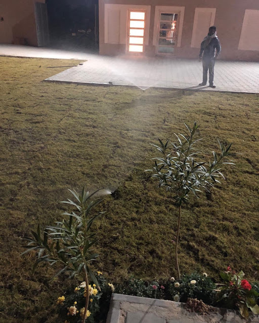 شركة الطارق للحدائق في جدة وتركيب المظلات للحدائق في جدة أفضل تنظيم حدائق جدة