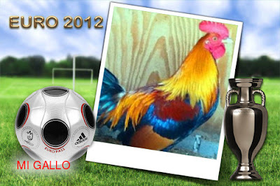 GALLO DE PELEA