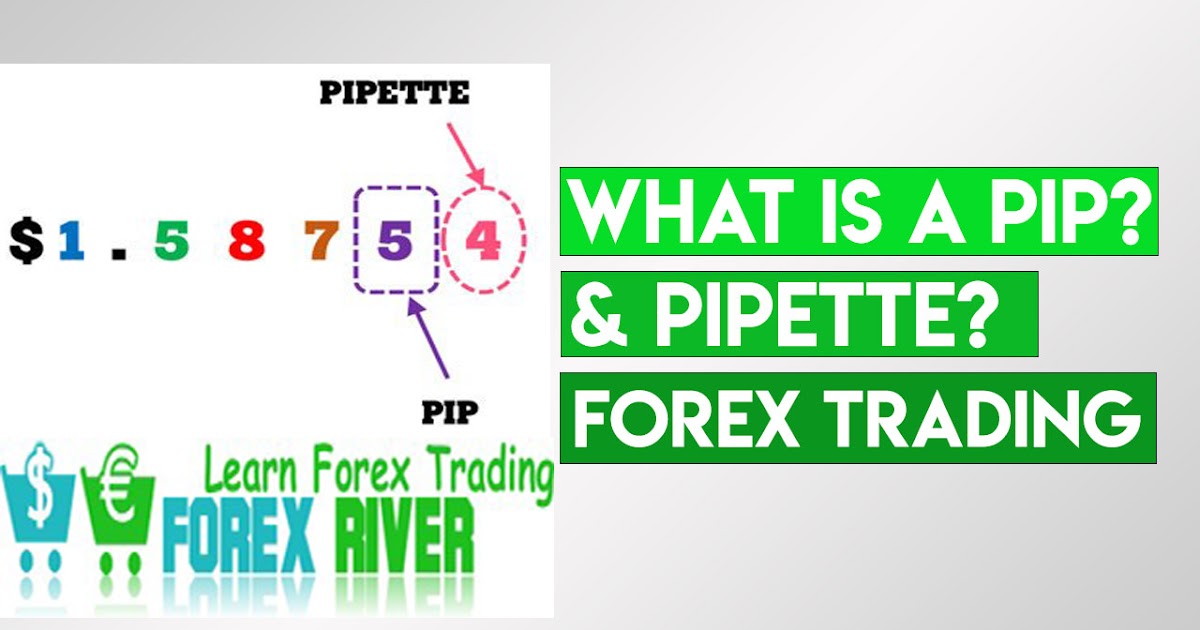 What Is PIP and PIPETTE in Forex TradingForex pips explainedThe