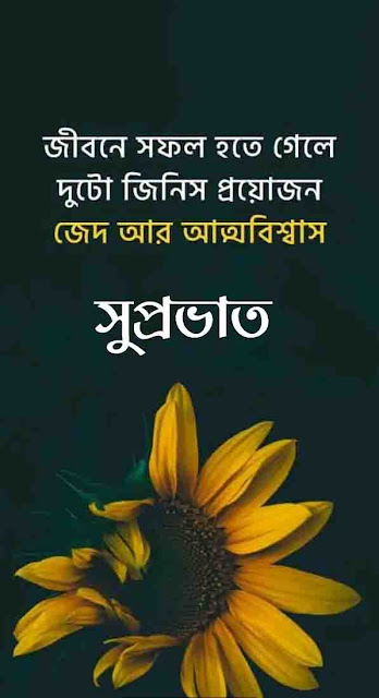 সুপ্রভাত শুভেচ্ছা ছবি