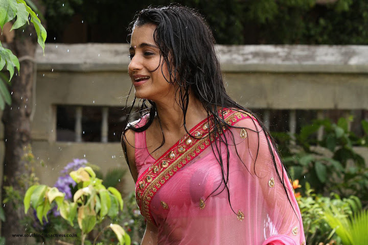 Trisha Krishnan Wet Hot HD Photos in Kalavathi Movie