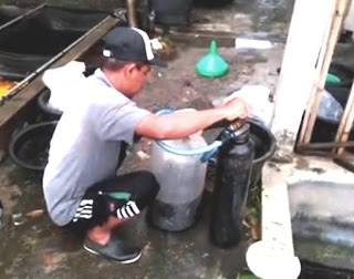 Metode Terbuka dan Tertutup Pengemasan Ikan Konsumsi Metode Terbuka dan Tertutup Pengemasan Ikan Konsumsi