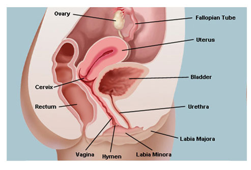 Losing your virginity experiences