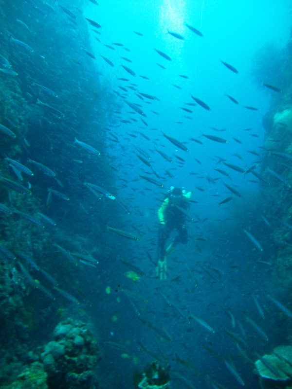Marinduque Rising Marinduque as dive destination