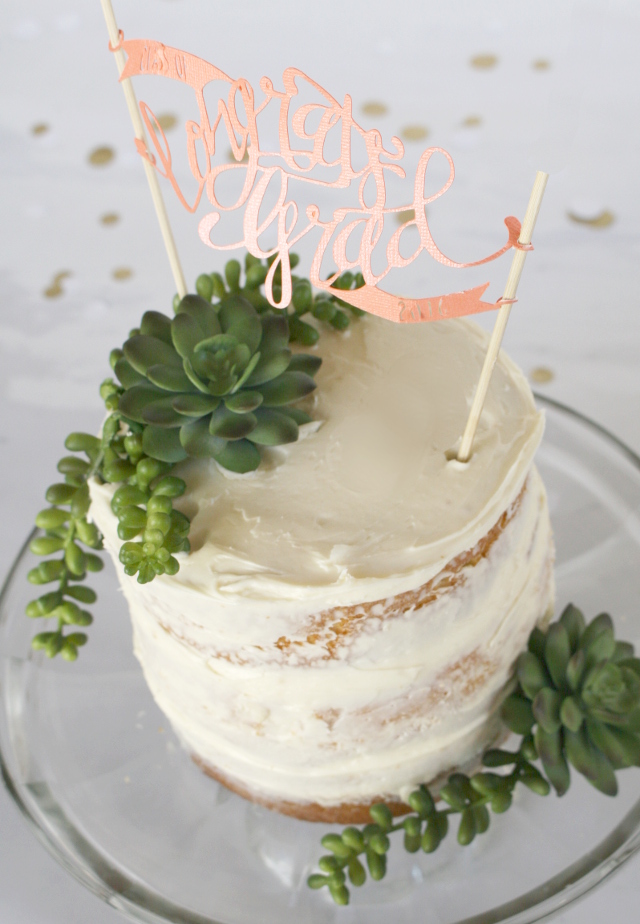 Adorable DIY Graduation Cake Toppers with FREE Silhouette cut files at /