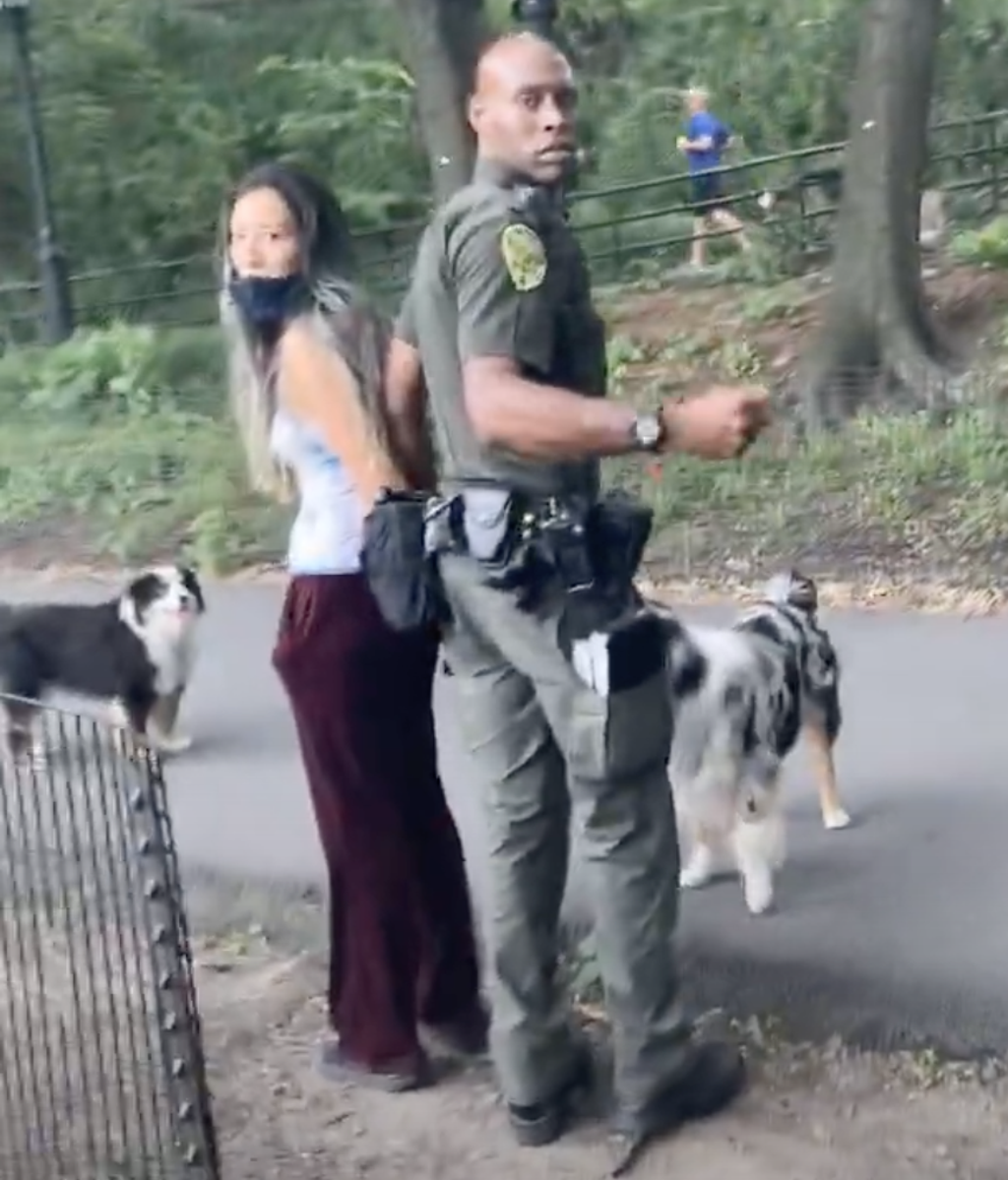Cat Chit Chat Woman arrested and handcuffed for walking dogs off the