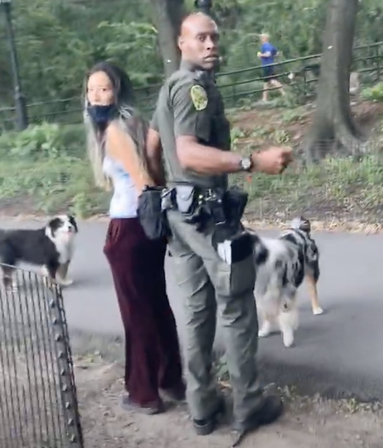 Woman arrested and handcuffed the walking dogs off the leash in a NYC park