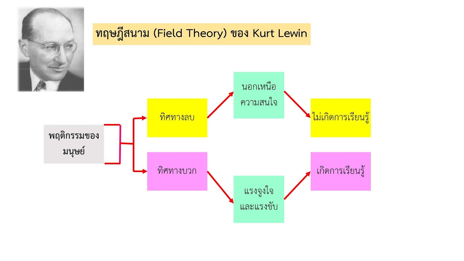  kurt lewin field theory 