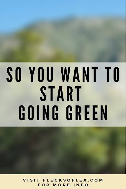 So you want to start going green?