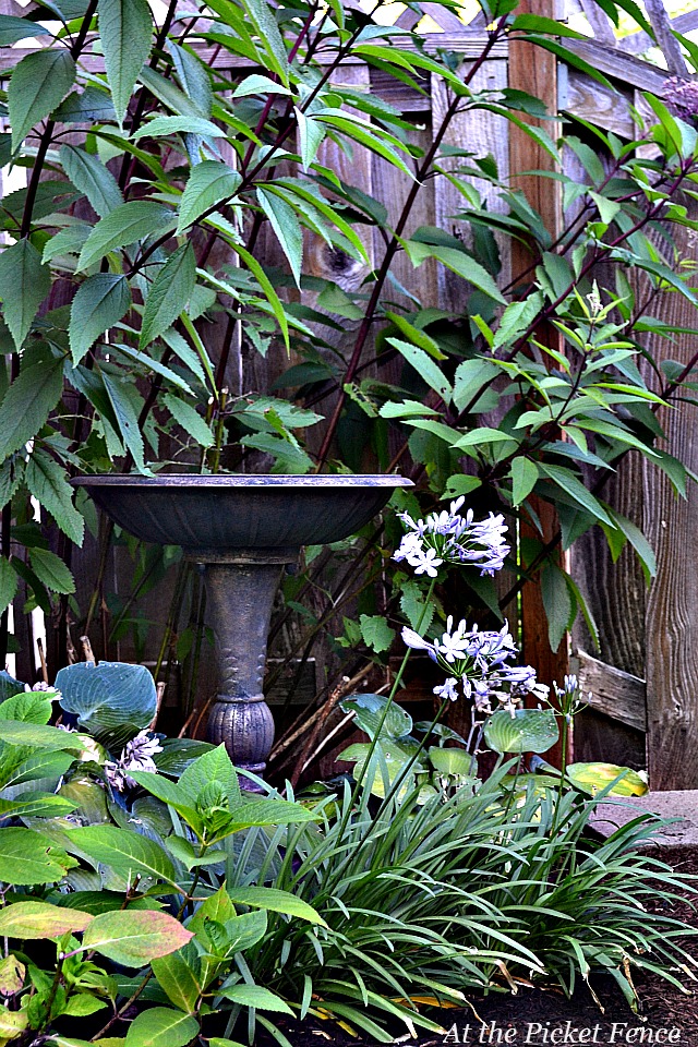 Serendipity Refined Blog How To Landscape A Corner Lot