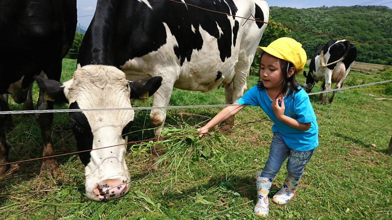 バイリンガル学園 my kindergarten