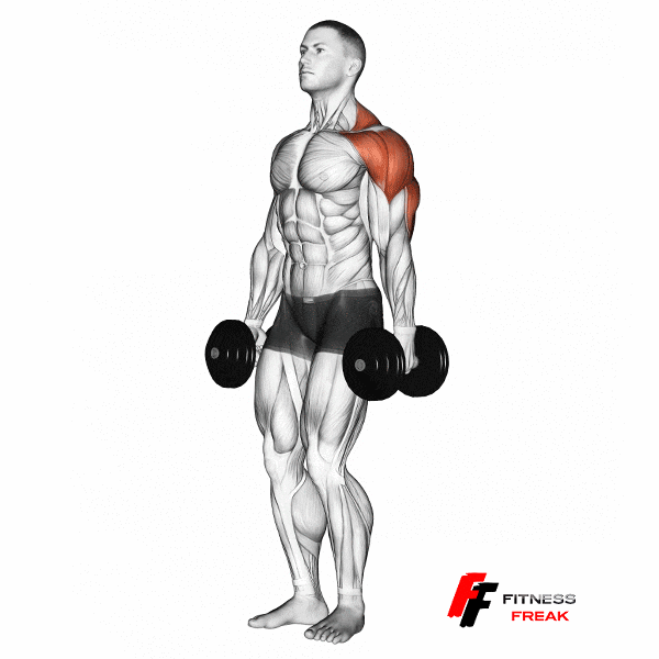 Standing Dumbbell Lateral Raises gif