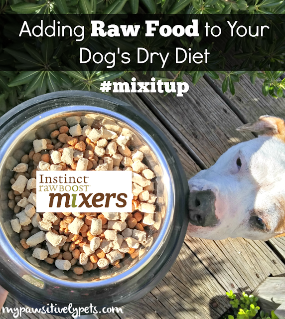 Adding Raw Food to Your Dog's Dry Diet #mixitup
