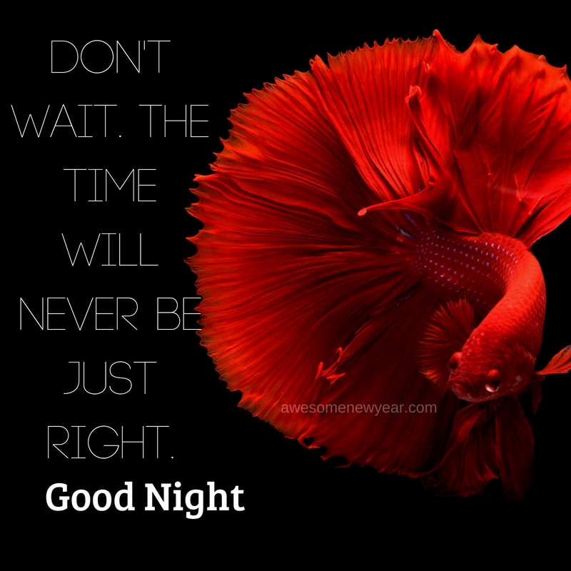 Download Cute Good Night Quotes With Images For Free Gud Nyt Pics