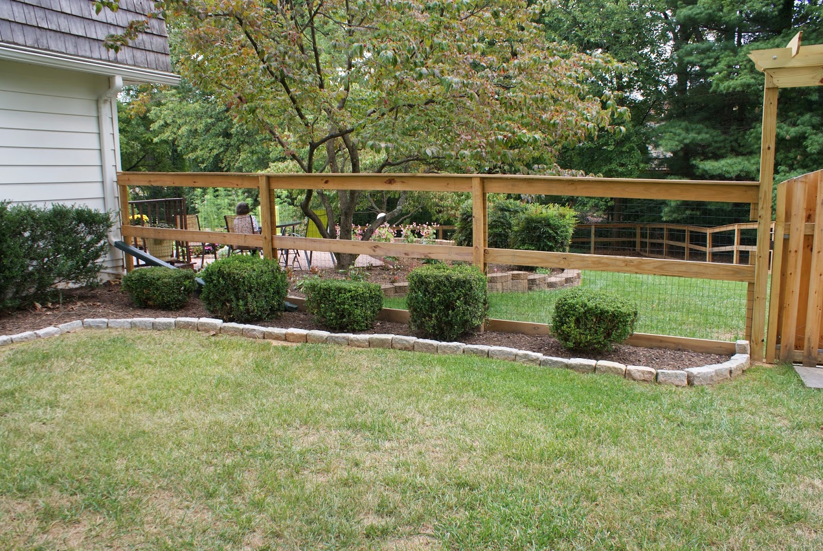 Day By Day: Changes in the Back Yard Garden