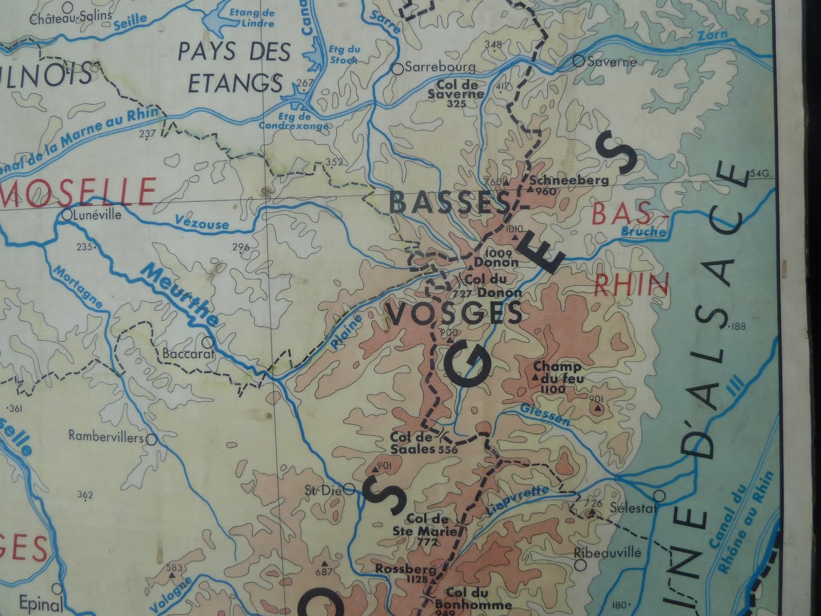 Vintage French Posters Botany Animals Anatomy, old World Maps from