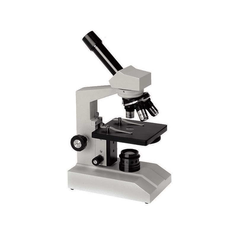 Why does cedar wood oil using with oil immersion lens? Physiology