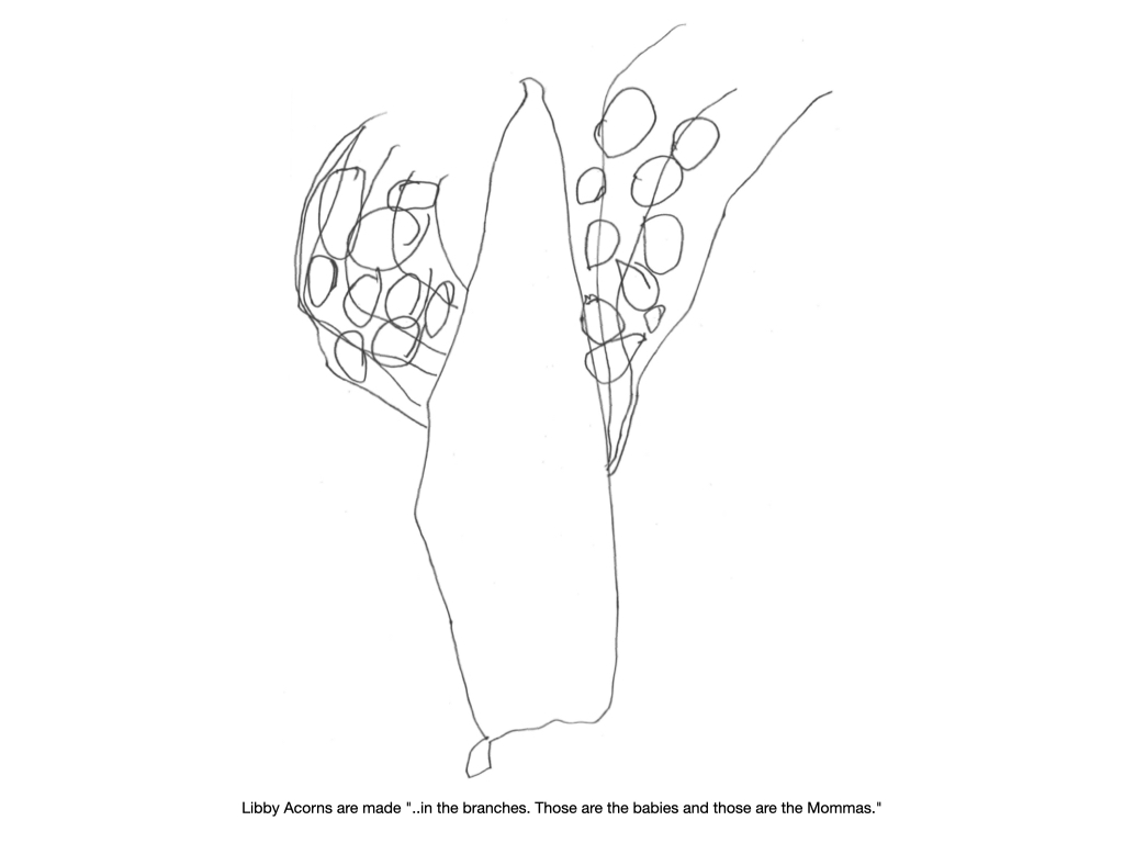 Making a Project: Squirrels and Acorns
