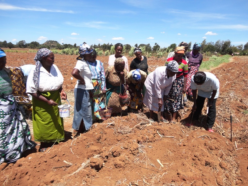 Laikipia Produce & Marketing Cooperative Society Empowering farming