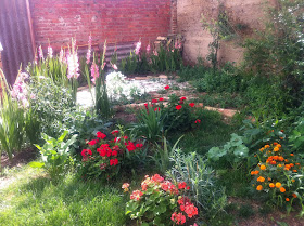 pienso luego existo : MI PEQUEÑO JARDIN