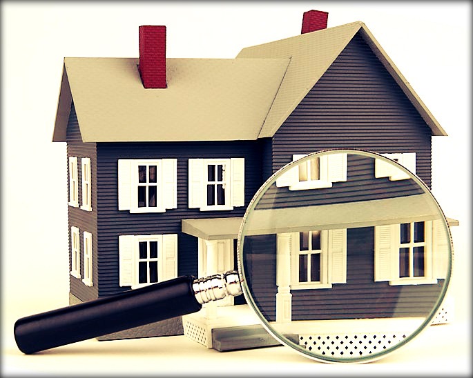 Job Painter in New York