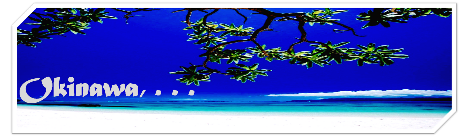 ShinKasuga Februari 2020 ShinKasuga Februari 2020