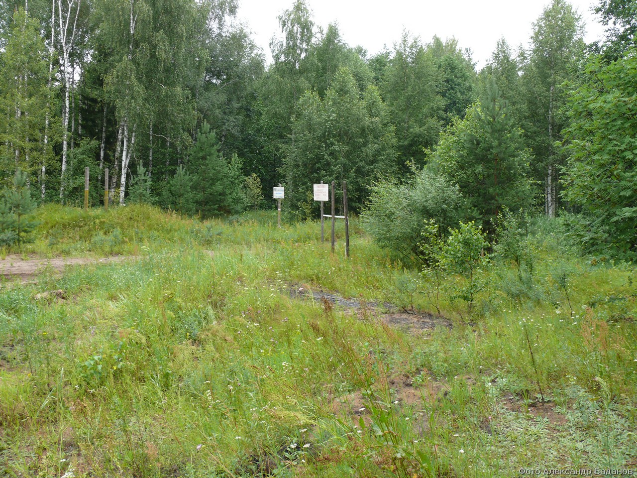 Серебряное озеро марий эл