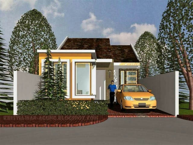 simple village house design picture