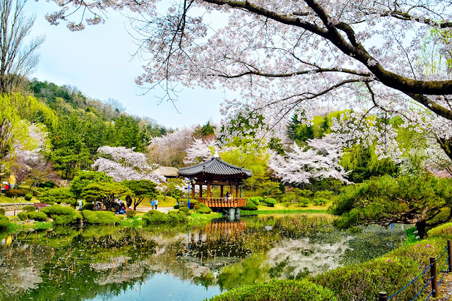 Những điểm tham quan nổi tiếng ở Hàn Quốc Ve-may-bay-di-han-quoc-Bomun-Pavilion