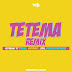 AUDIO | Rayvanny Ft Pitbull, Mohombi, Jeon & Diamond Platnumz - Tetema Remix mp3 | Download 