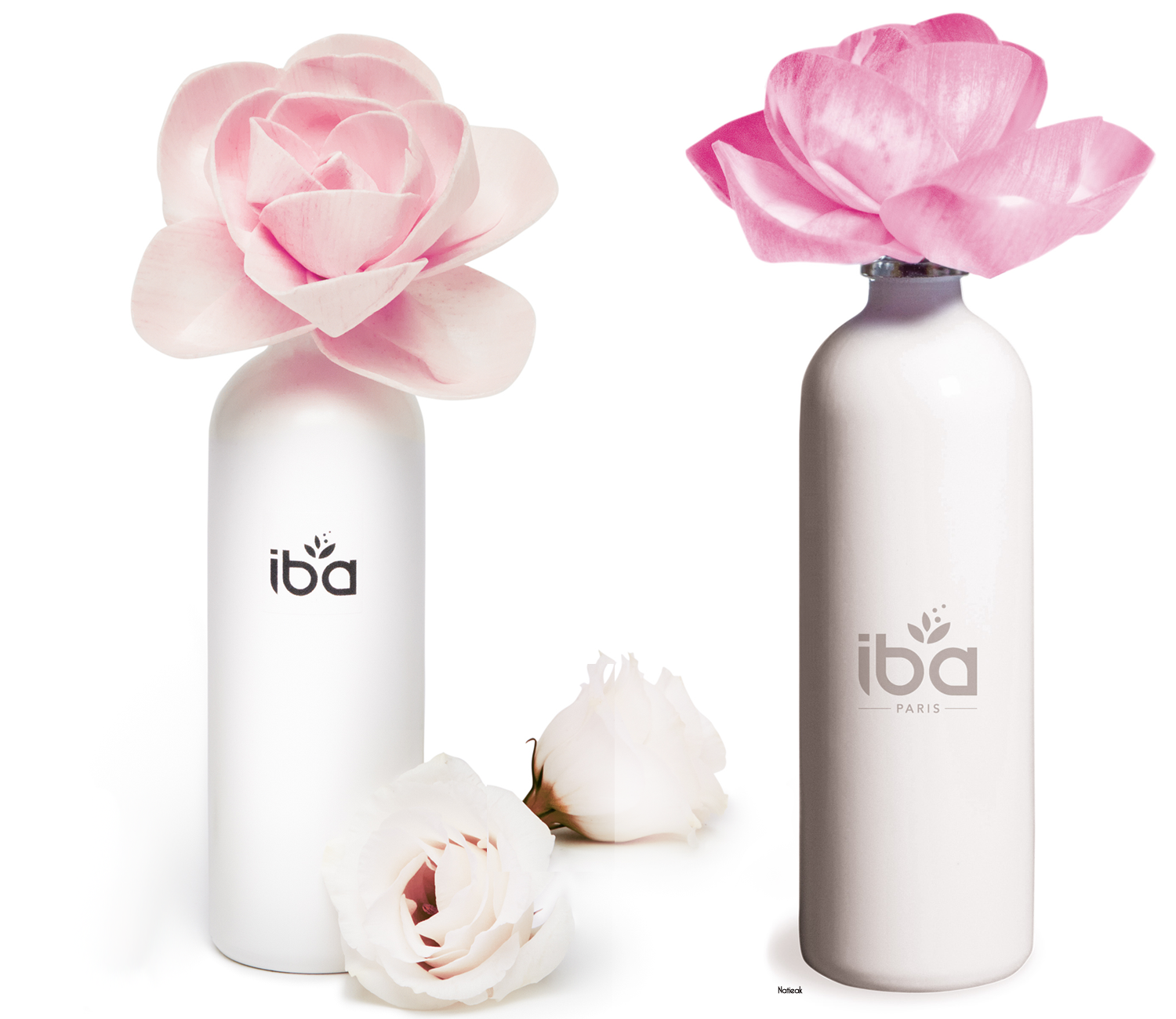 fleur parfumée Iba