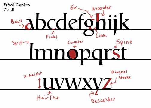 TypographyWinter2014: Fred Catolico - Typography Anatomy