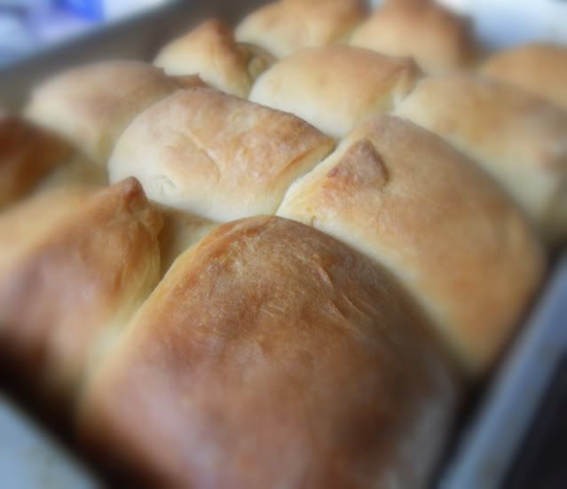Bread Machine Parker House Rolls The English Kitchen