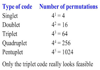 Genetic code, possible permutations