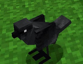 Mo' Creatures pájaro negro Minecraft mod
