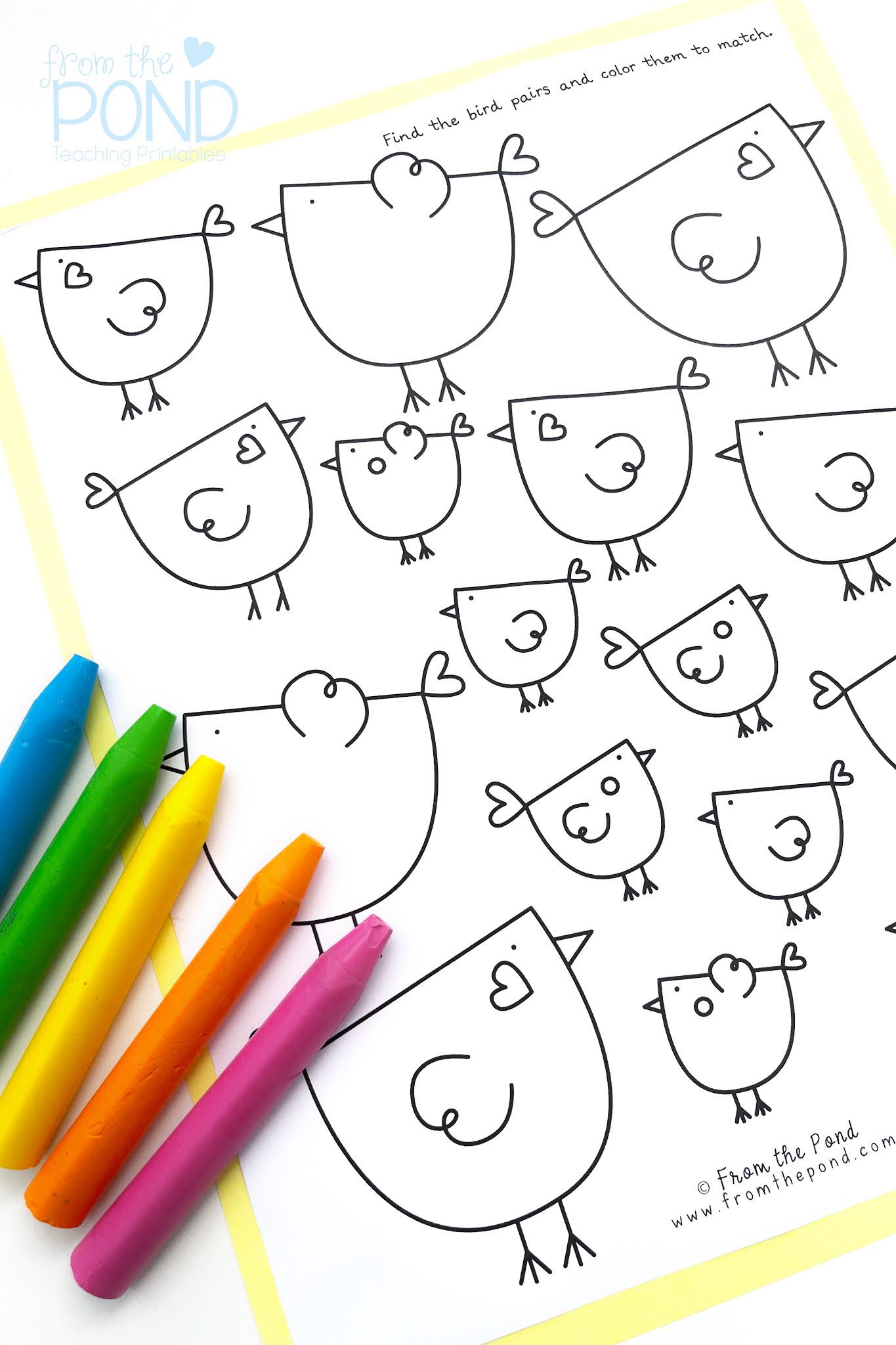 New Coloring Pages | From the Pond