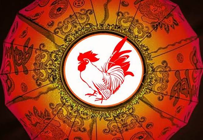 Penjelasan Info Shio Ayam, Lengkap dan Terpercaya!