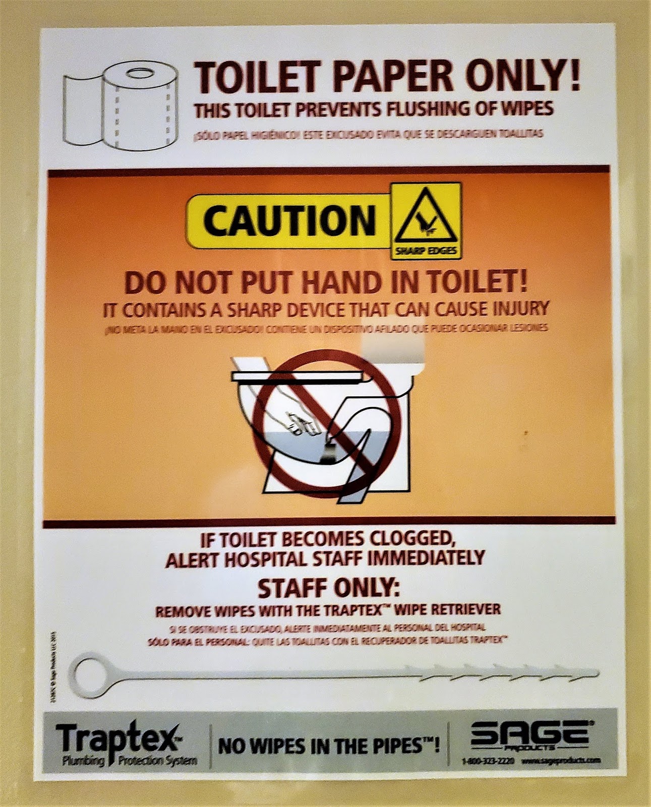 mexpatriate — in the key of steve don't flush this essay down the toilet