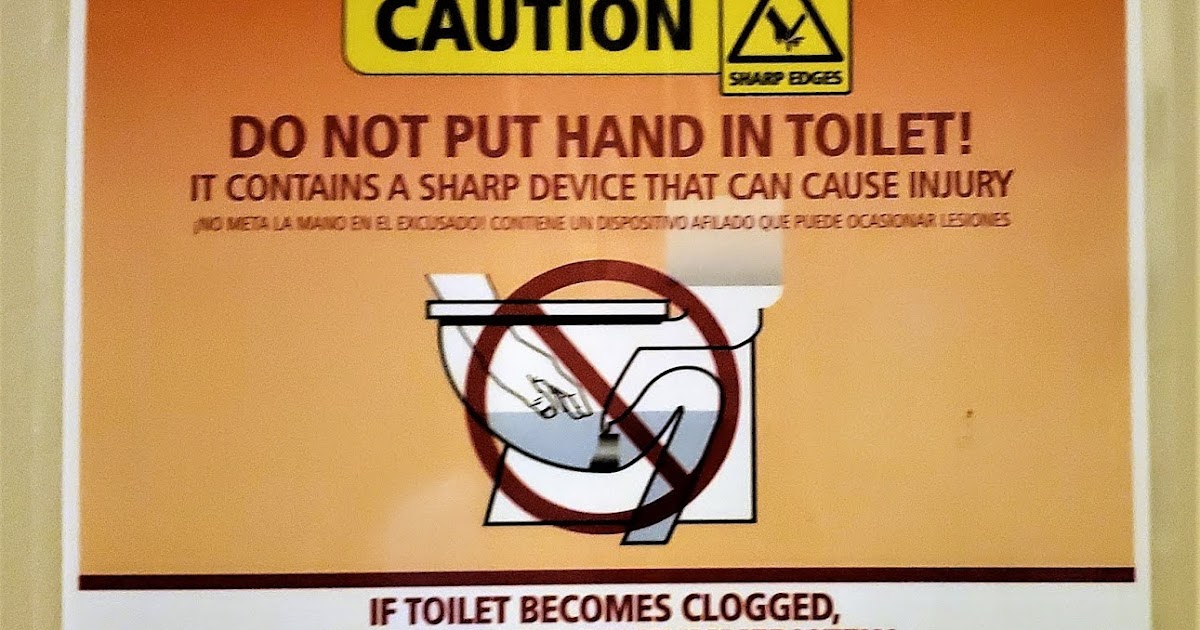 Flush essay 08 picture