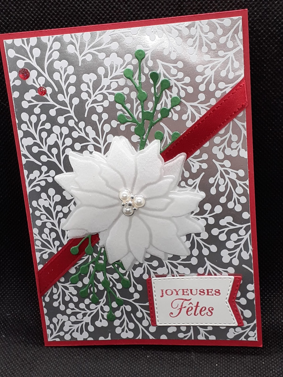 Pourquoi Mon Poinsettia Ne Rougit Pas Le Scrap Ewin: MARCHE DU POINSETTIA
