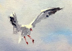 seagull paint painting hagan robert paintings easy