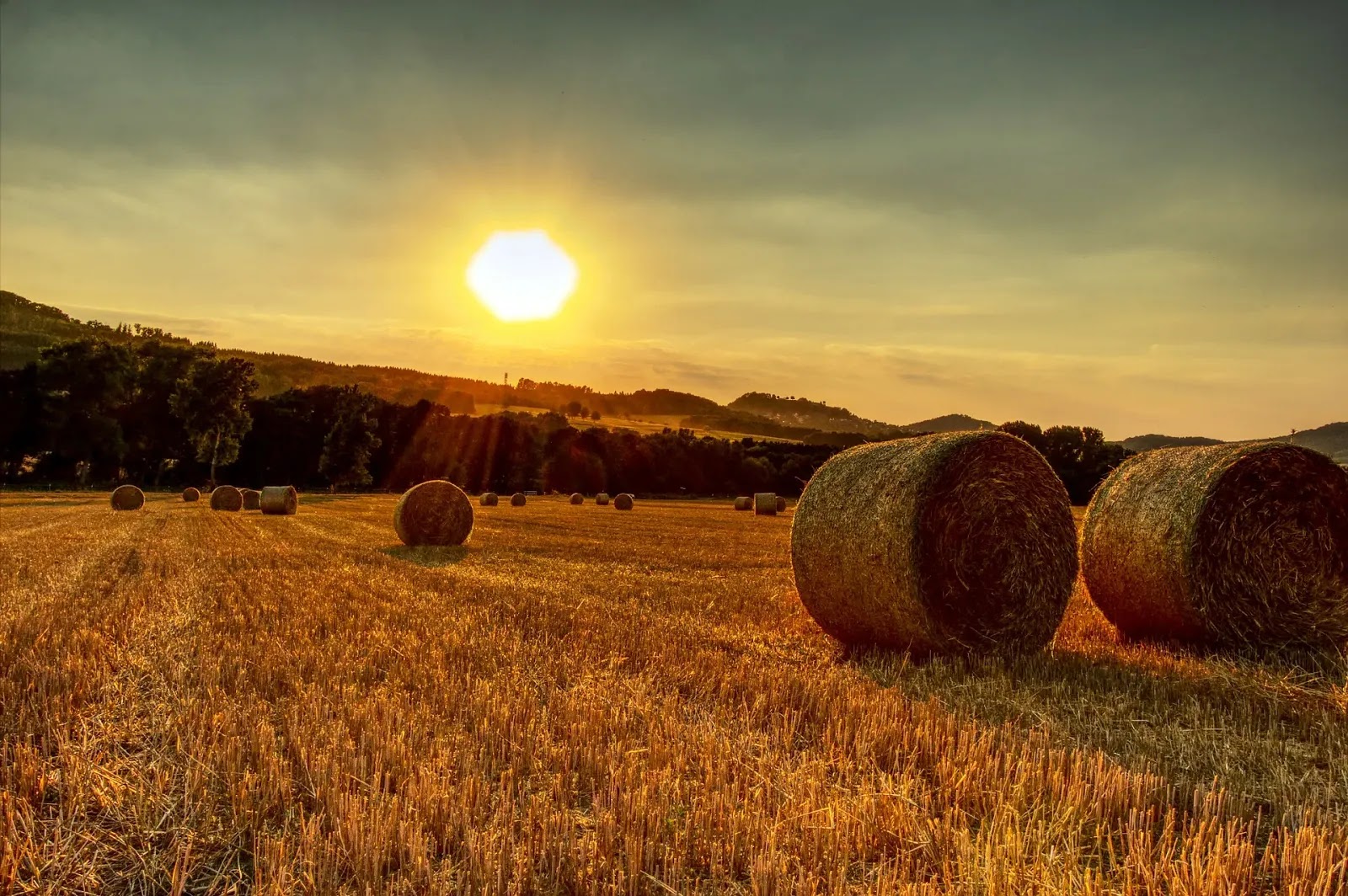 تنزيل اجمل خلفيات كمبيوتر 4k hd wallpapers 1080p ? تنزيل اجمل خلفيات كمبيوتر 4k hd wallpapers 1080p ?