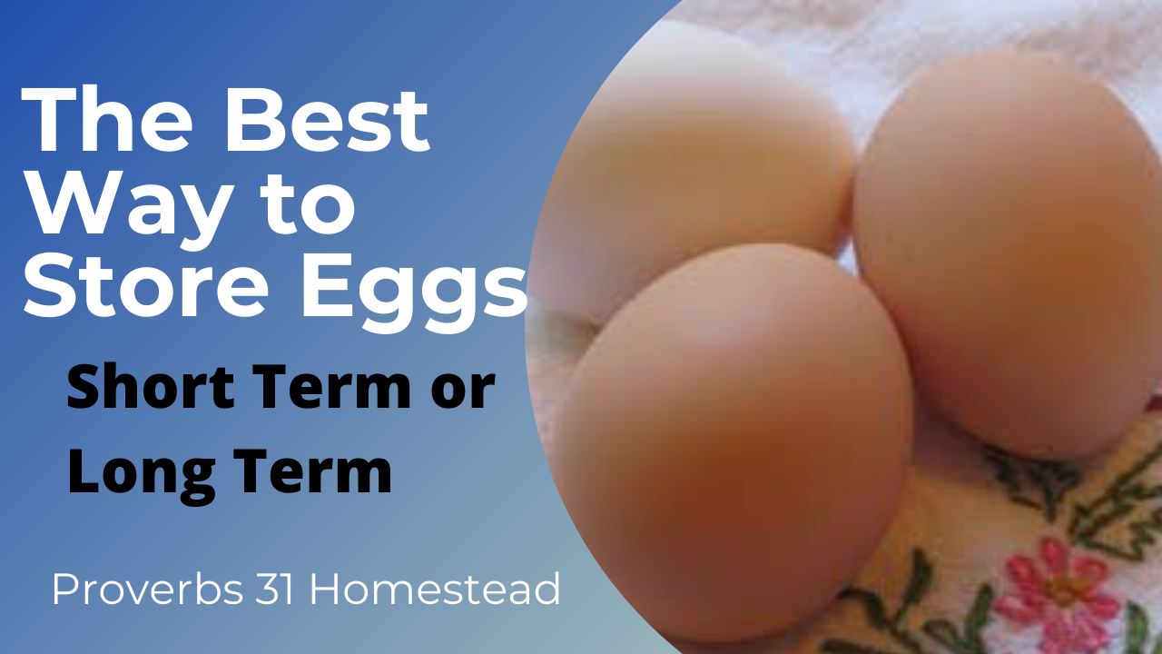 The Best Way to Store Eggs (Short and Long Term with video