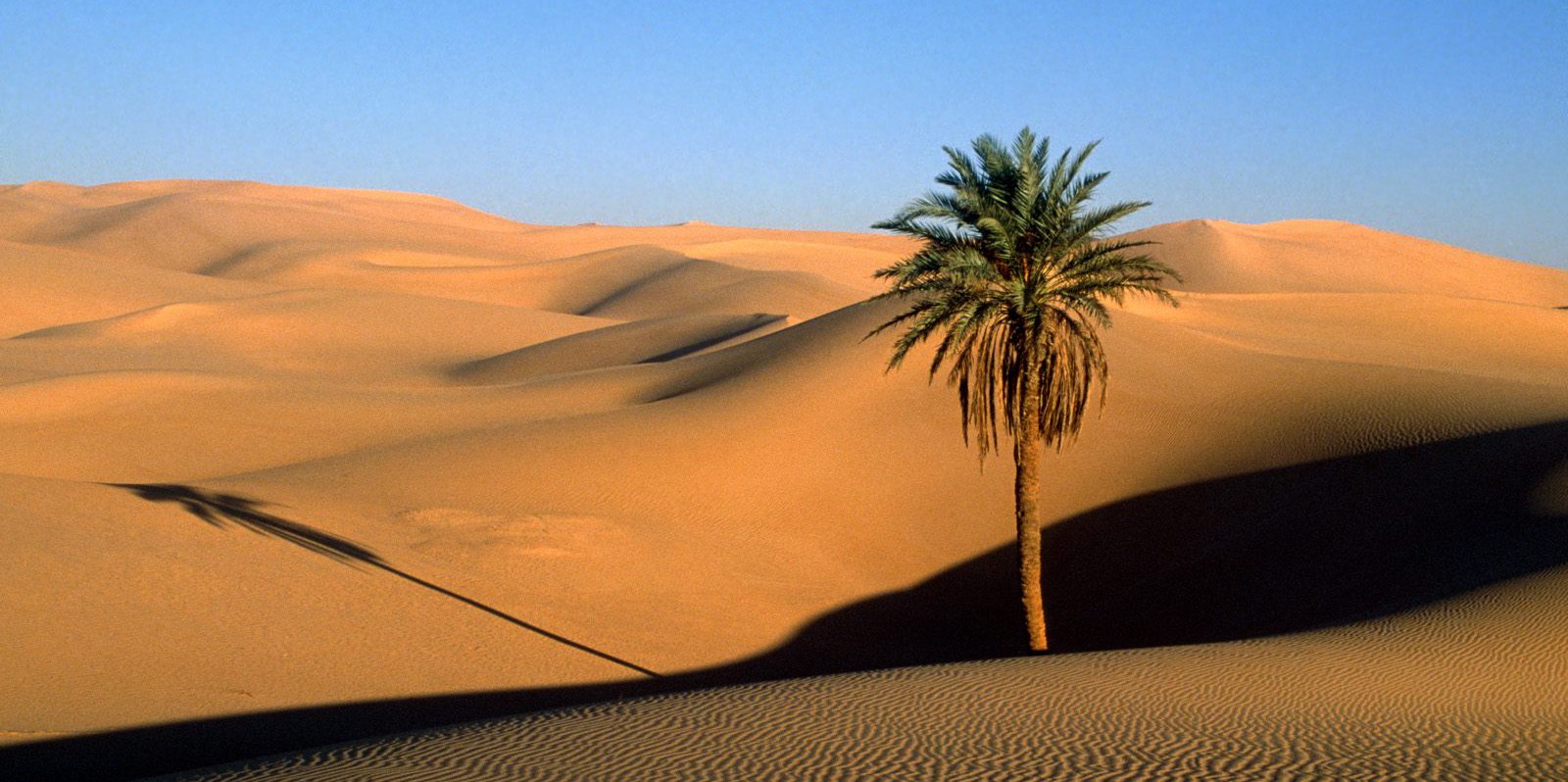 . L'appel du désert (à la mémoire de Loïq...)