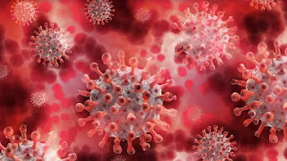 coronavirus 0