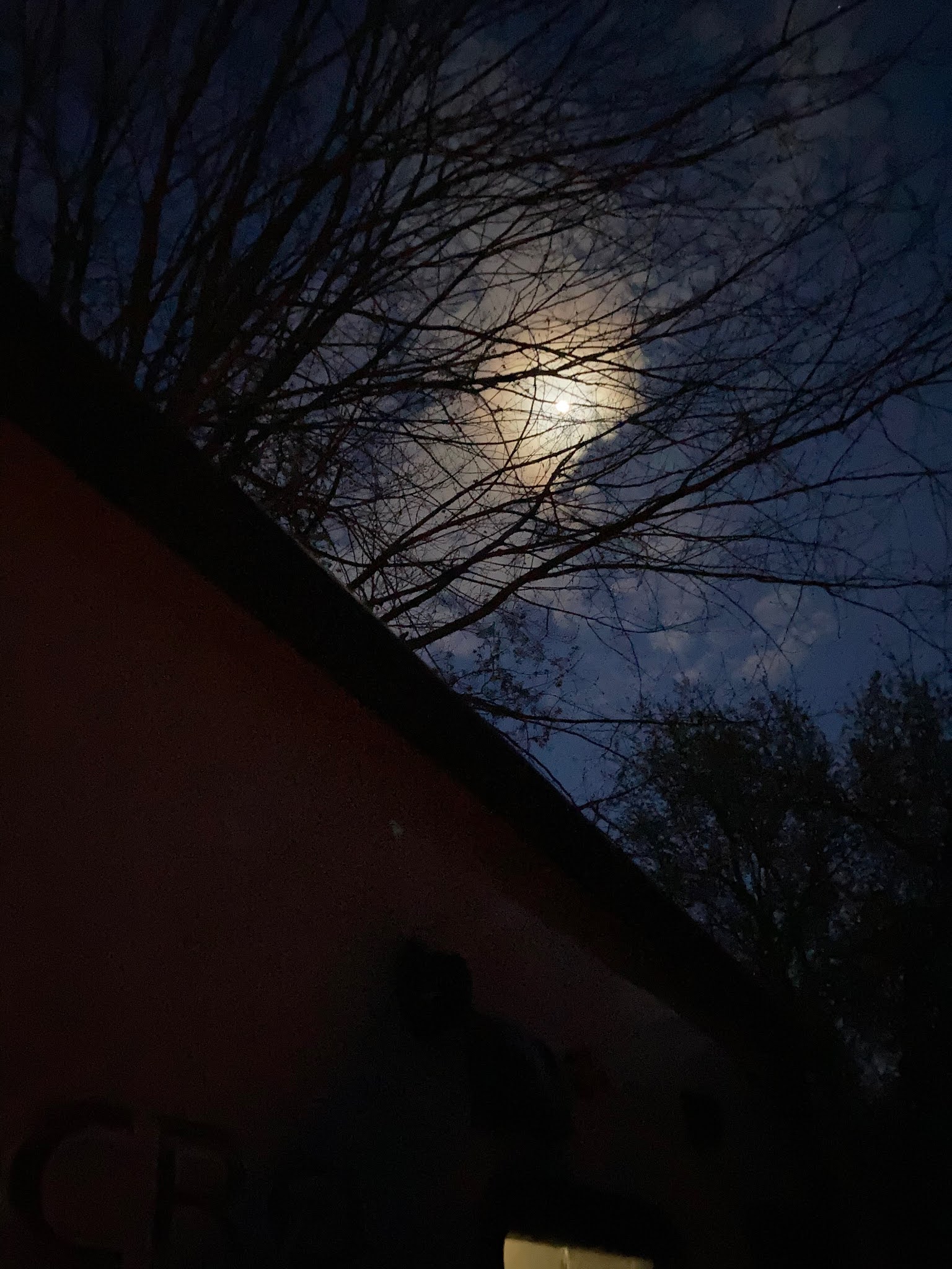 Travel Reviews & Information Ionia, Michigan State Park Recreation