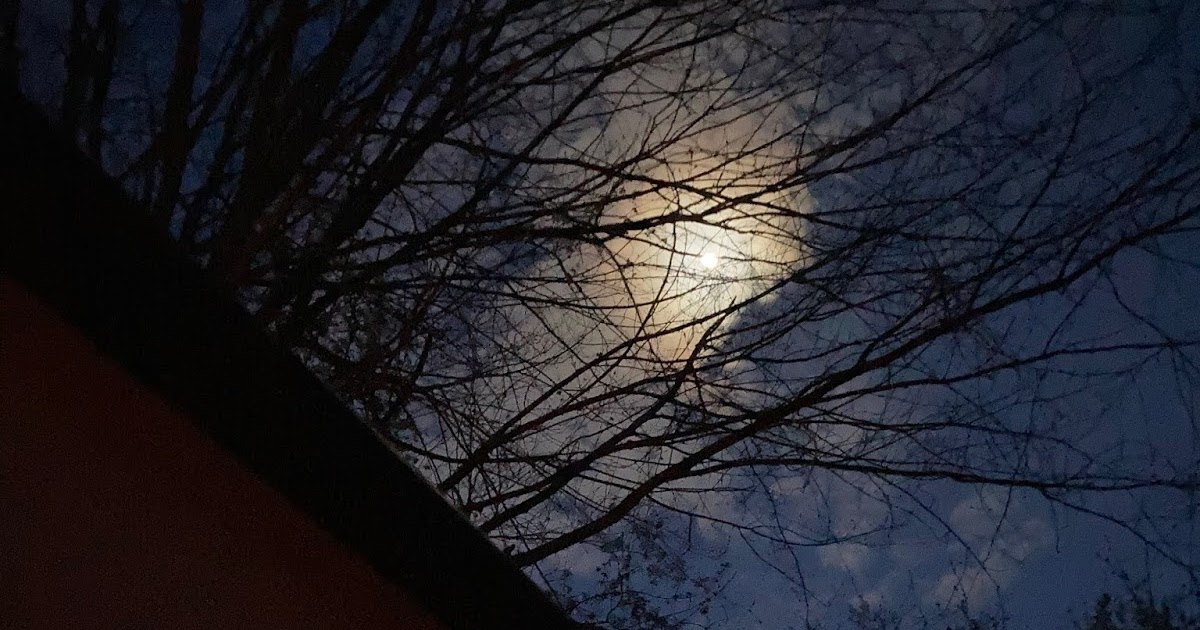 Travel Reviews & Information Ionia, Michigan State Park Recreation