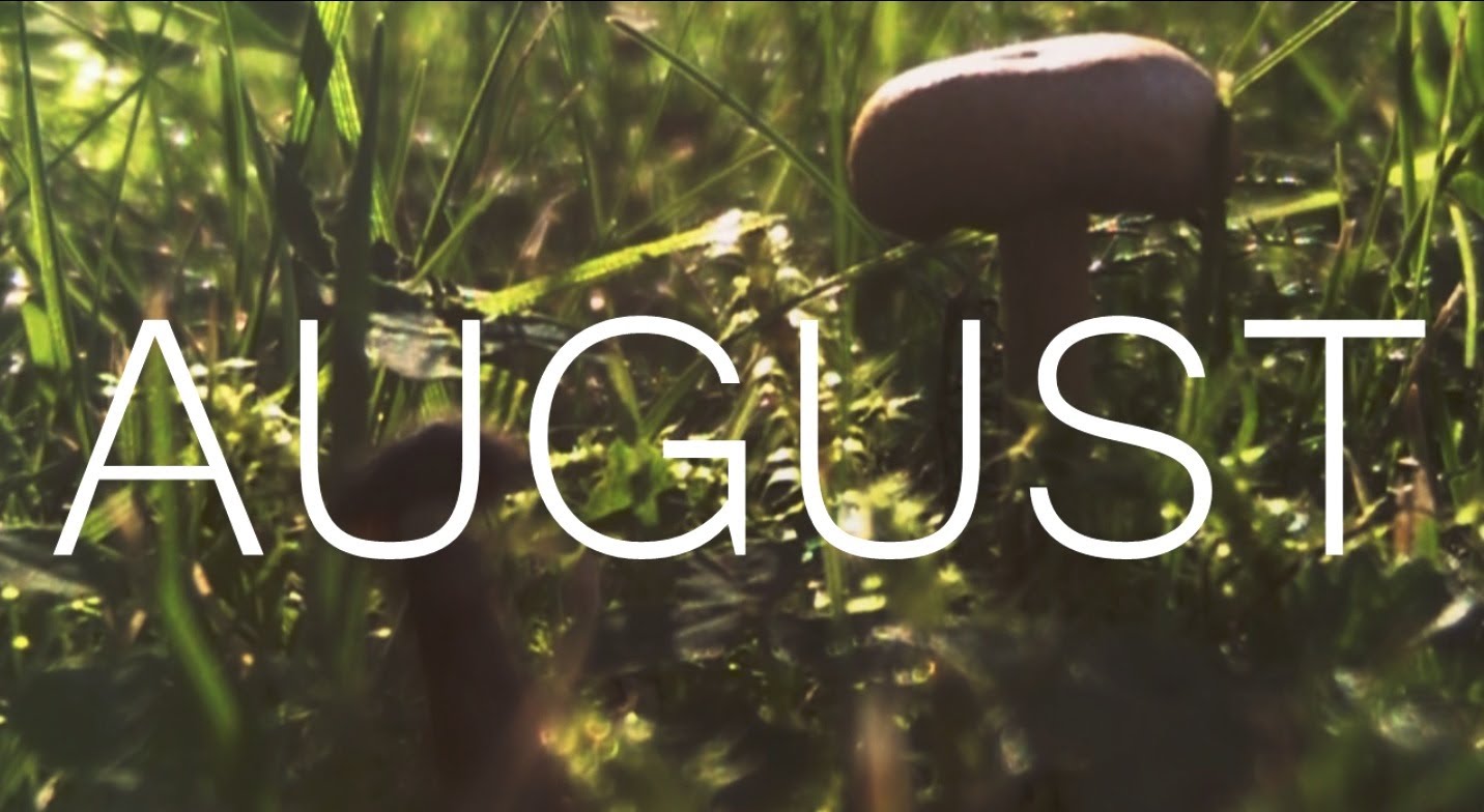 ELKMONT ALABAMA WHAT'S HAPPENING IN ELKMONT THIS WEEK?